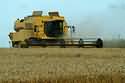 Cover photo for Organic OVT Results for Wheat 2011-2014