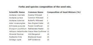 Cover photo for How Seeding Rates Can Affect Species Composition in Pollinator Planting