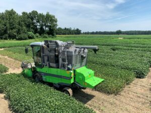 Cover photo for PFP21: Soybean Maturity Group