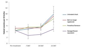 Cover photo for The Impact of Insecticides on Soybean at Flowering on Beneficial Insects